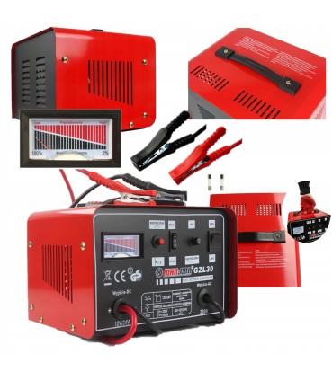 Prostownik 12/24 30a