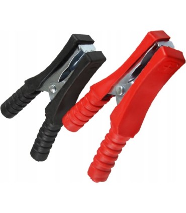 Prostownik 12/24 30a