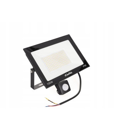 Naświetlacz LED 100W z czujnikiem ruchu – barwa biała ciepła 2700K
