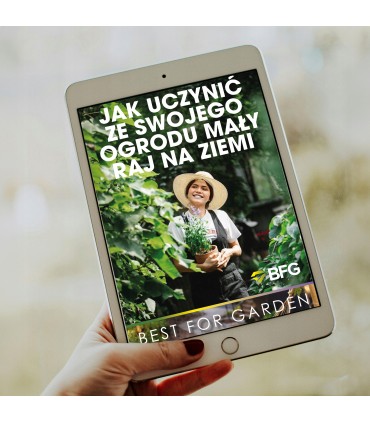 Kątownik montażowy KM 5 60 x 60 x 80 x 2