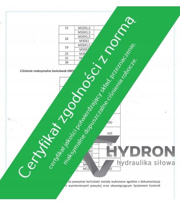 Końcówka DKOL DN25 28L M36X2 klucz 41