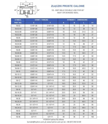 Złączka prosta BB BSP 1/2"