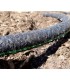 Wąż nawadniający kroplujący 1/2" 30m (6)