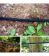 Wąż nawadniający kroplujący 1/2" 30m (6)