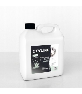 ST ACRYLEX PRIMER 1L